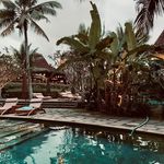 christine esselbach - @christine__esselbach__9049 - Instagram