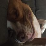 Chris Selig - @lifeandtimesofdjseligson - Instagram