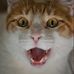 Chris Selig - Facebook