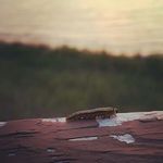 Chris Selig - @chriiseliig - Instagram