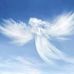 Chris Sella - Facebook