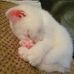 Chris Sella - Facebook