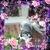 Chris Sellars691 - @chrissellars1962 - TikTok