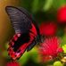 Chris Senter - Facebook