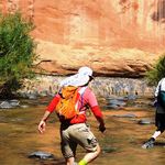 Chris Serres - @chkserres - Instagram