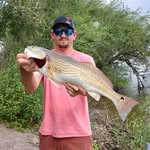 Chris Serres - @serreschris - Instagram