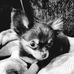 Chris Settle - Facebook
