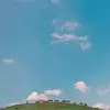 Christi Shanafelt - @fievpayl64y - TikTok