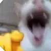 BICCH - @chris.shelley04 - TikTok