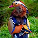 Chris.shores - @chris.shores2 - Instagram