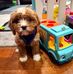 Chris Sicardo - Facebook