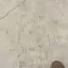 chrissicastill05 - @aesthetics42167 - TikTok
