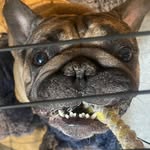Chris Sills - @chris.sills.50 - Instagram