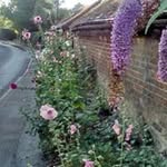 Chris Silvester - @silvester1826 - Instagram