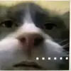chris sipesrte - @chris.sipesrte - TikTok