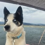 Chris Sisson - @skoobydoo4202007 - Instagram