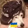 Chris Sitko - @chris.sitko - TikTok