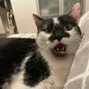 chrissix10 - @chrissix10 - TikTok