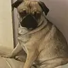 Chris Slates - @chris.slates4 - TikTok