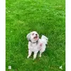 christine_snowdon29 - @christine_snowdon29 - TikTok