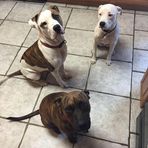 Chris Sorrell - Facebook
