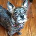 Christine Sosebee - Facebook