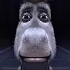 chris_sotto08 - @chris_sotto08 - TikTok