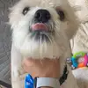chris_sotto - @chris_sotto - TikTok