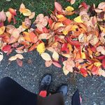 Christy Spckman - @christy_spackman - Instagram