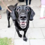 Chris Spear - @cwspear - Instagram