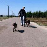 Chris Speer - @wingfootdogman - Instagram