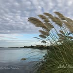 Christopher Spellman - @chris_spellman_photography - Instagram