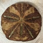 Chris Spisak - @craftwich7 - Instagram