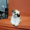 christinespohr - @christinespohr - TikTok