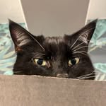 Chris Stacey - @iks_chris - Instagram