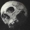 Chris Standley765 - @chrisstandley765 - TikTok