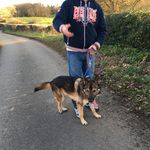 @chrisstatham - Instagram