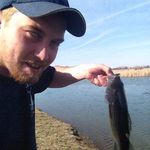 Chris Staton - @chrisstaton21 - Instagram