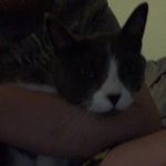 Chris Staton - @staton700 - Instagram