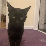 Chris Staton - @chris.staton1988 - Instagram