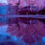 Chris Stearns - @21mm_infrared - Instagram