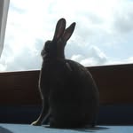 Christina Sterner - @chriskiki2022 - Instagram