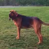 Chris Stevens - @chrisstevens260 - TikTok