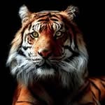 Chris Stolper - @chrisstolper - Instagram