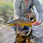 Chris Stout - @stout_trout_fishing - Instagram