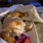 Christopher Strahan - @chris.strahan - Instagram
