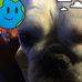 Chris Straka - Facebook