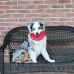Chrissy Strausbaugh - @chrissystrausbaugh - Instagram