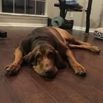 Chris Strawn - @strawn_chris - Instagram