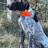 Chris Strawn - @chris.strawn - TikTok